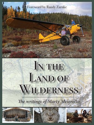 cover image of In the Land of Wilderness